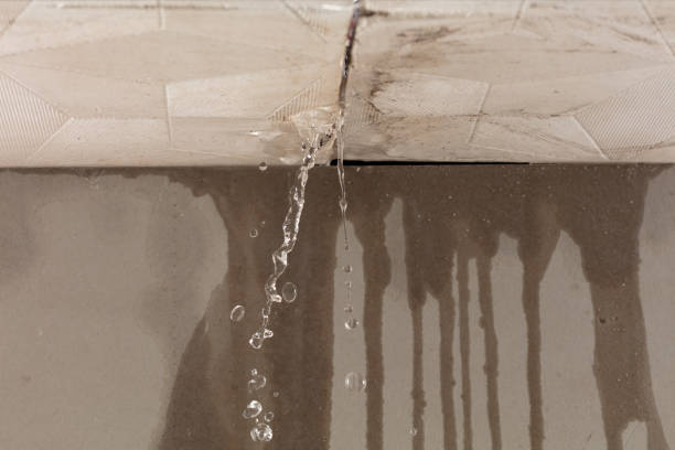 Professional Water Damage Inspection technician working in Murray City, OH